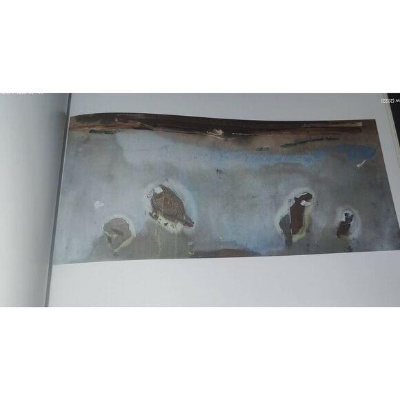 As in Nature Helen Frankenthaler Paintings paperback in conjunction w the Clark - Picture 11 of 11